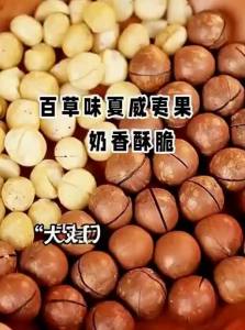 BE＆CHEERY | Healthy Large Kernel Nuts 500g
