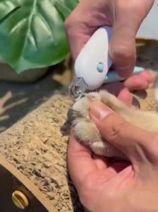 VOA | Adjustable Round Hole Cat Nail Clipper