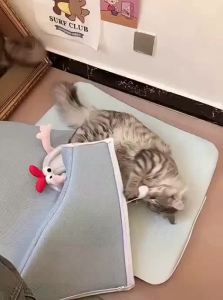 hipidog | Removable Washable Closed Cat Tunnel Cat Bed
