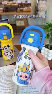 CHICU TOM | High Aesthetic Value Insulated Water Bottle For Students