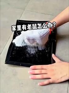 JIAKEMEI | Super Strong Rat Trap Catching Device
