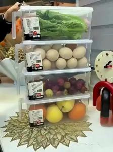 Refrigerator Organizer Storage Box Food Preservation