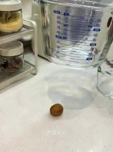 MODERN SWEETHOME | Baby-friendly Food Grade Baking Measuring Glass Cup