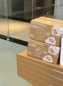 BUCATSTATE | Specialized Hamster Cage Large Transparent Luxury Rodent-Resistant