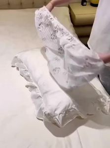 Disposable Protective Pillow Cover For Travel