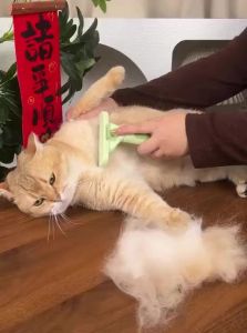 7o | De-tangling Shedding Removal Pet Comb