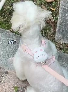 7o | Small Dog Vest Style Leash