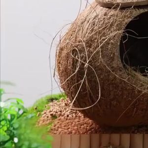 YUEXIAOMENG | Summer Resting & Nesting Parrot Bed