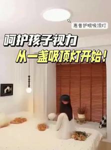 HUIPU ZHAOMING | Full Spectrum Eye Protection Room Light