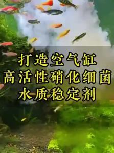 VOA | Nitrifying Bacteria Water Purifier for Aquarium and Fish Pond