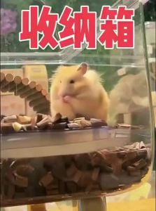 TIYES | Panoramic Extra Large Transparent Acrylic Hamster Cage