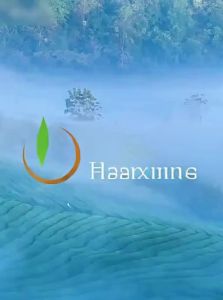 YIBEIXIANG | Green Tea 125g