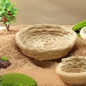 Hadassah | Four Seasons General Parrot Grass Nest Sleeping and Breeding House for Birds