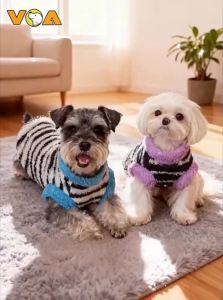 VOA | Stripe Color Block Fleece Warm Dog Clothes
