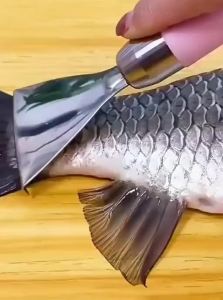 Stainless Steel Manual Fish Scaler