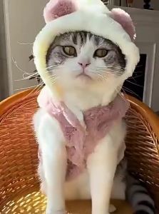 Petone dOrage | Adorable Fluffy Hooded Warm Pet Clothes