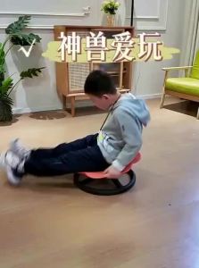 ZHONGLIANG | Children Home Use Sensory Integration Vestibular Training Rotating Chair Disc