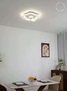 DGY | Suspended Adjustable Ceiling Fan Light