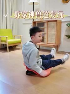 ZHONGLIANG | Sensory Integration Training Chair Balance Trainer