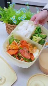Tupperware | Microwaveable Bento Box with Dividers for School Kids Lunch Box
