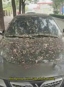 DELIHUA | Sun Rain Heat Protective Easy-to-Use Car Cover