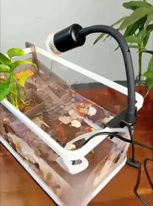 KUOTING | Small Dedicated Turtle Terrarium