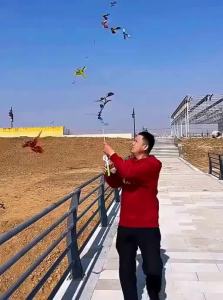 SHENWO | Easy-to-Fly Kids Kite with Handheld Control Dynamically Displays Birds and Fish