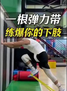 SHENWO | Strength Training Resistance Bands