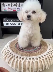 VOA | Anti-Escape Chest Harness Pet Leash