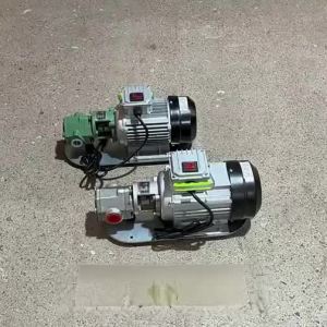 DULAN | High Viscosity Fluid Electric Self-priming Gear Oil Pump Stainless Steel