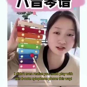 Educational Intellectual Wooden Xylophone Toy