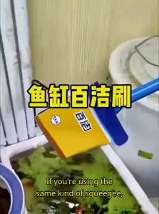 Multipurpose Aquarium Cleaning Brush