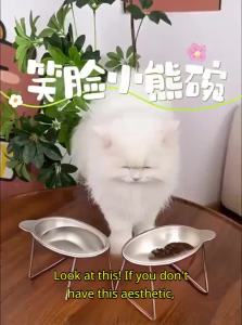 7o | Raised Neck Protection Stainless Steel Pet Bowl
