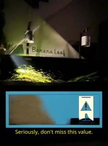 VOA | Aquarium Lighting Atmosphere Enhancing LED