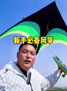 XIAOYAOJIN | All-Ages Easy Fly Large High-Quality Kite