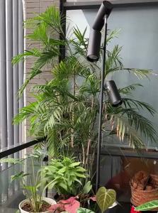 GUANGHELILIANG | Full Spectrum Sunlight Simulating LED Plant Grow Light