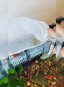 300 Mesh Nylon Filter Bag for Aquarium Waste Filtration