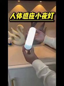 XLYS | Voice Control Automatic Night Light