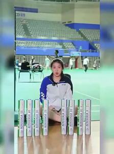 Yonex | Durable Professional Goose Feather Badminton
