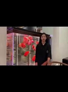 sunsun | Color-changing Waterproof Aquarium LED Light