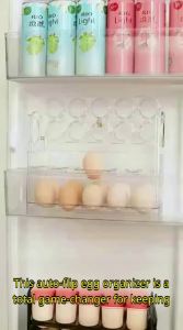 MODERN SWEETHOME | Automatic Egg Organizer