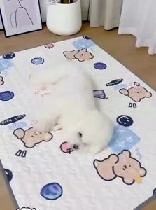 VOA | Pet Sleeping Pad for Cats and Dogs Seasonal Use Anti-Moisture and Anti-Bite