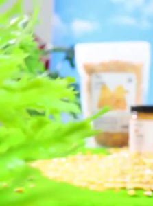 YUEXIAOMENG | Nutritious Corn Feed For Hamsters Chews