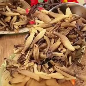 Mixed Dried Mushroom Snacks Edible