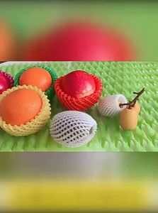 Beiqiandaxiu | Shockproof Thickened Fruit Protection Net Bag