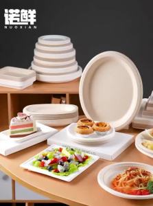 NUOXIAN | Disposable Food Grade Thickening Plates