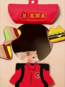 Tafit | Hamster & Ferret Snack & Entertainment Chew Toy