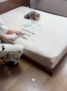 Pet Hair Remover Glove