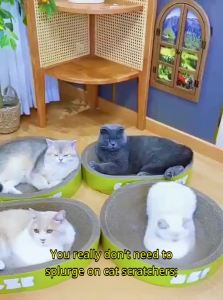 VOA | All-Season Wear-Resistant Corrugated Paper Cat Scratcher and Bed Extra Large