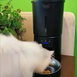 Micky Cat | Smart Scheduled Feeding Pet Feeder